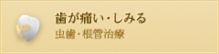 歯が痛い・しみる 虫歯・根管治療